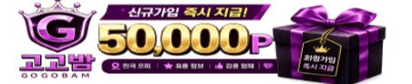 광고배너2